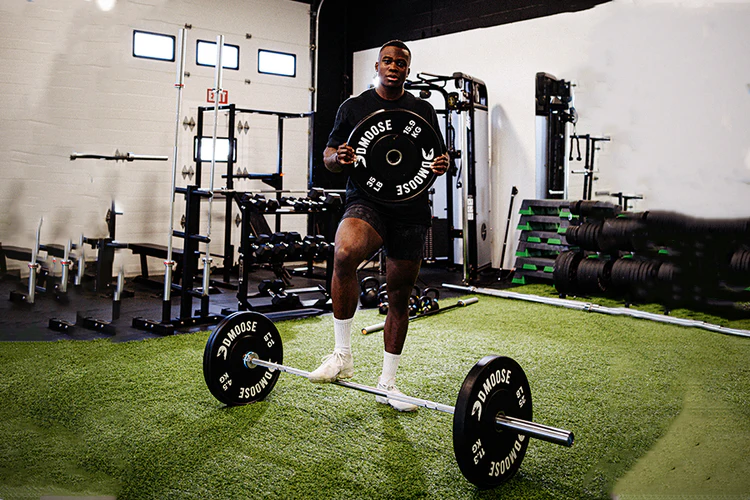 weight plates barbell workout home gym