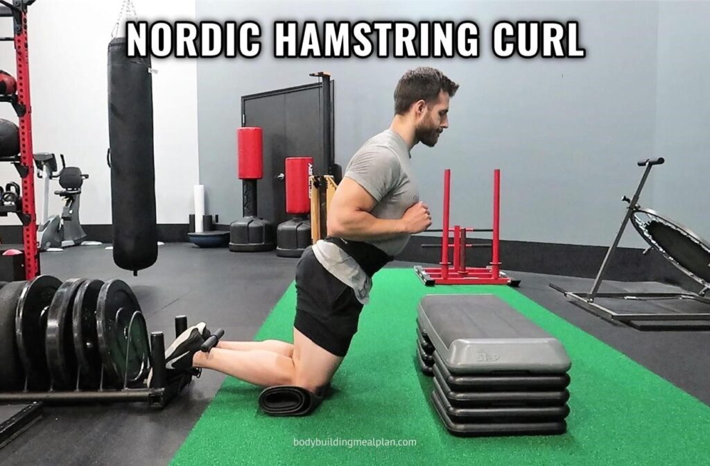assisted nordic curl machines for home gyms
