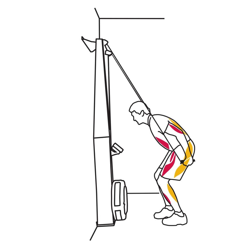 commercial SkiErg machine for home gym cardio training